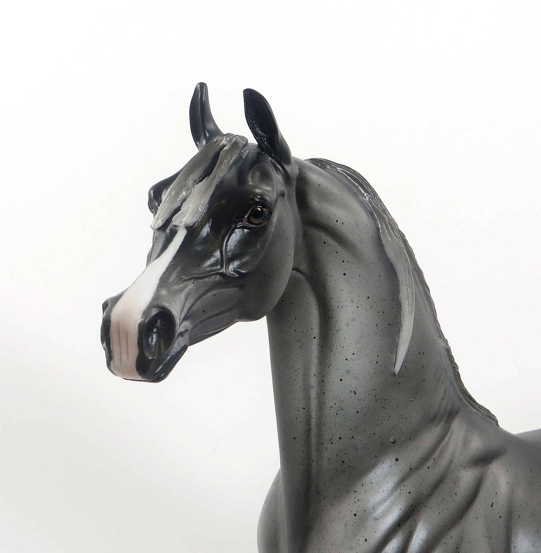 PLAYTIME LOTTA - OOAK Blue Roan Arabian 7/31