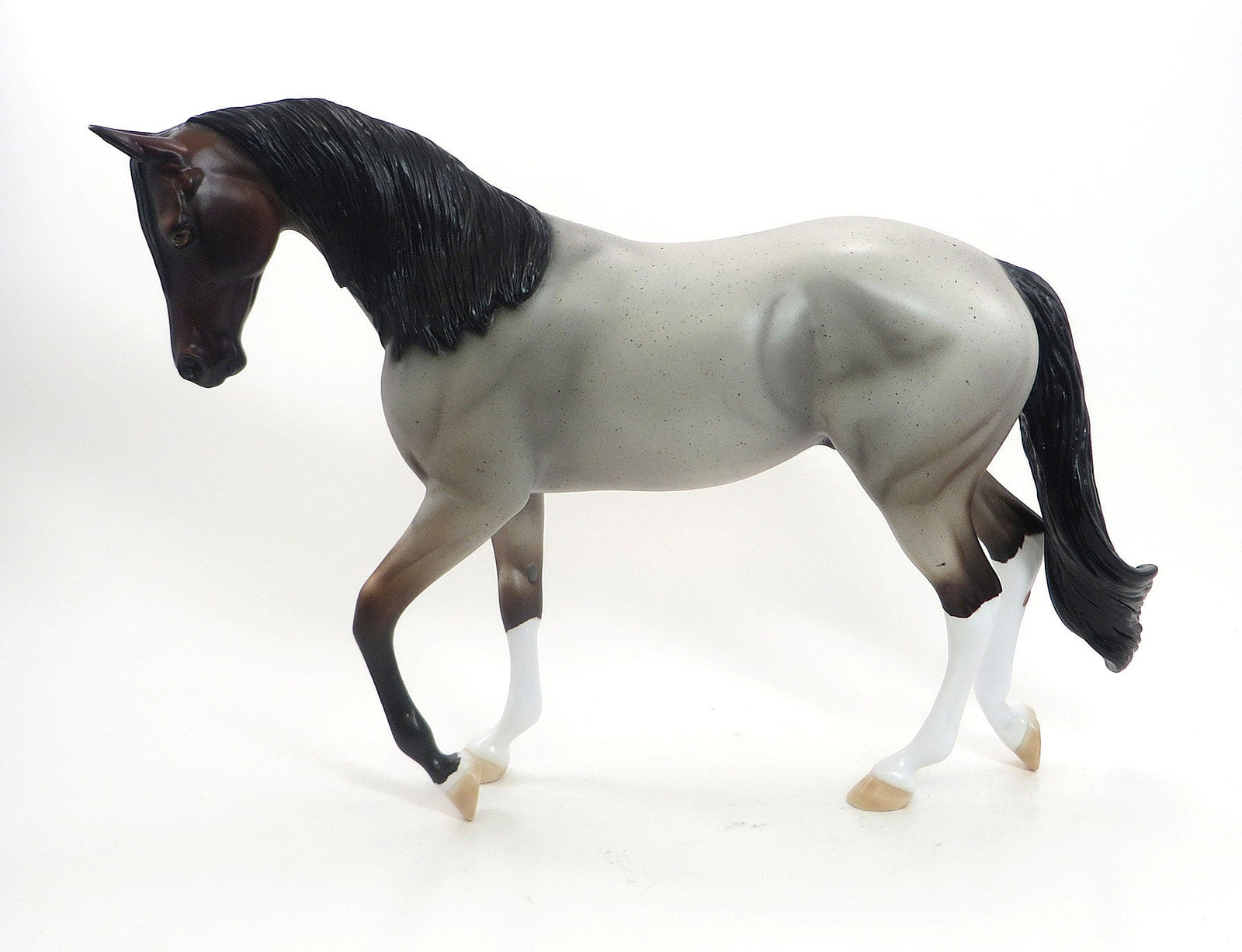 CEDAR SMOKE - LE4  Bay Roan Thoroughbred - 7/31