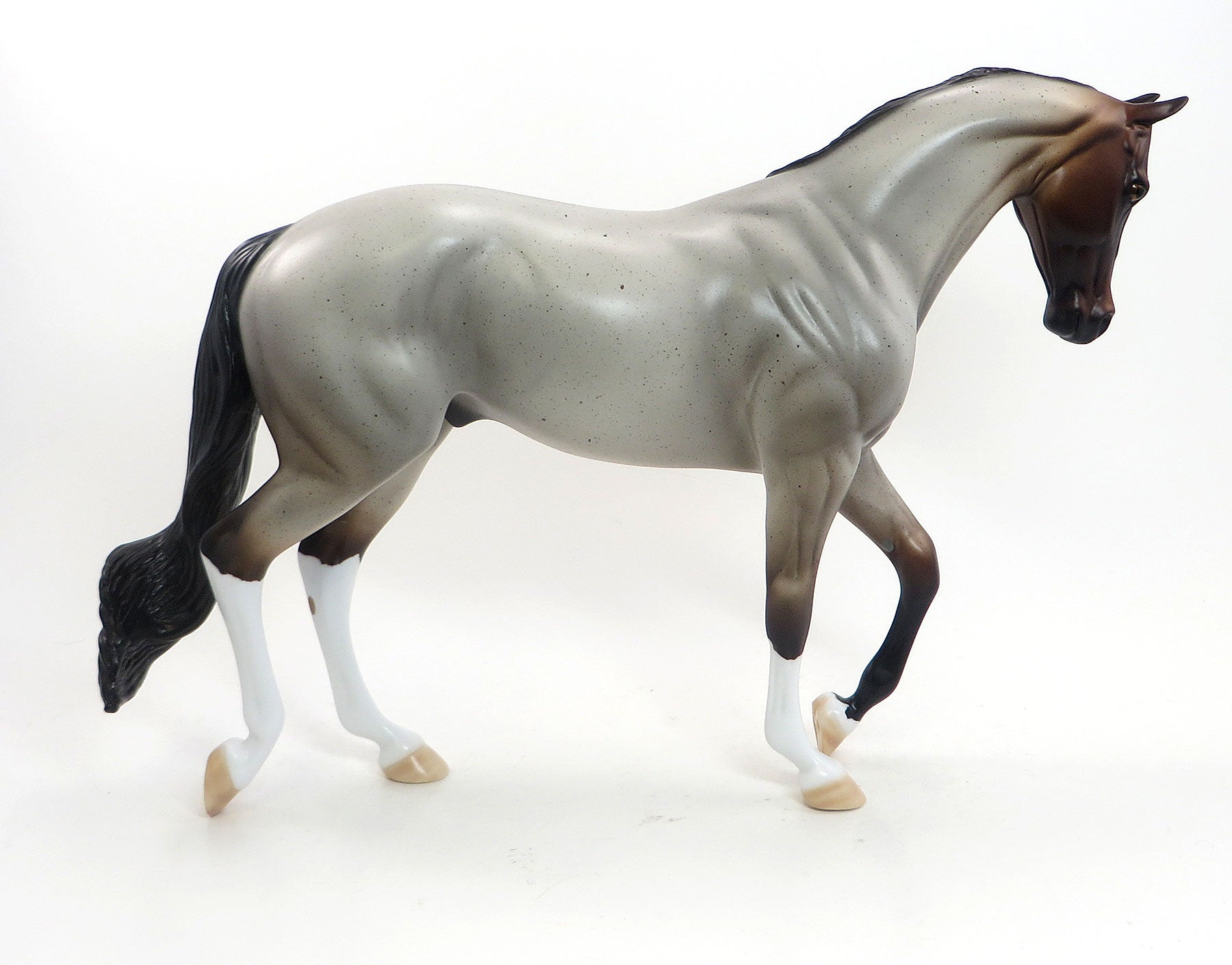 CEDAR SMOKE - LE4  Bay Roan Thoroughbred - 7/31