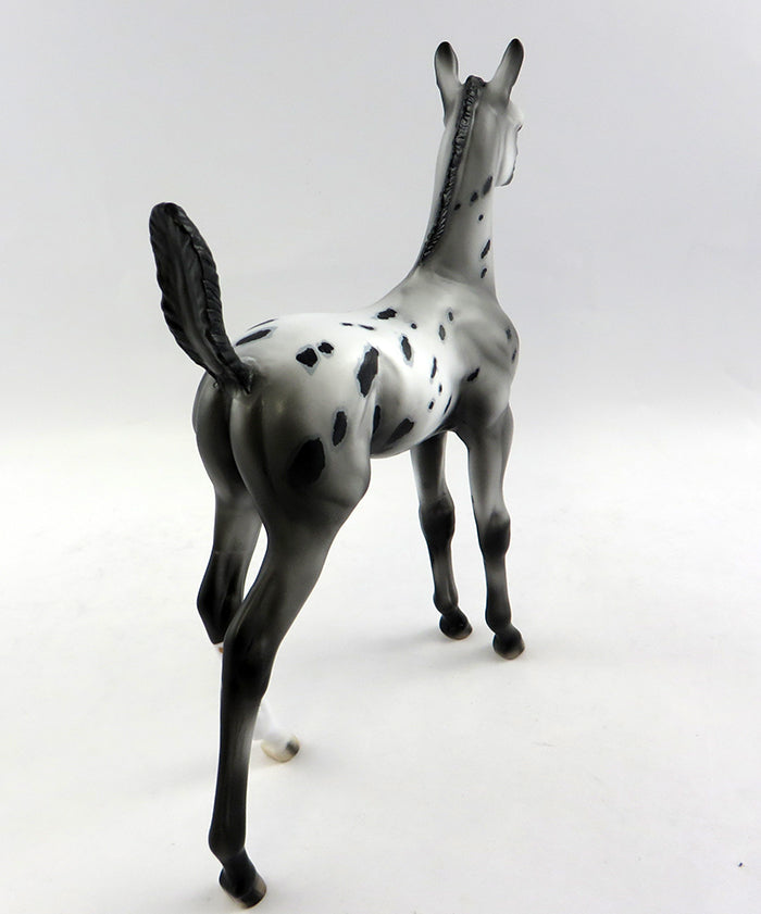 appaloosa