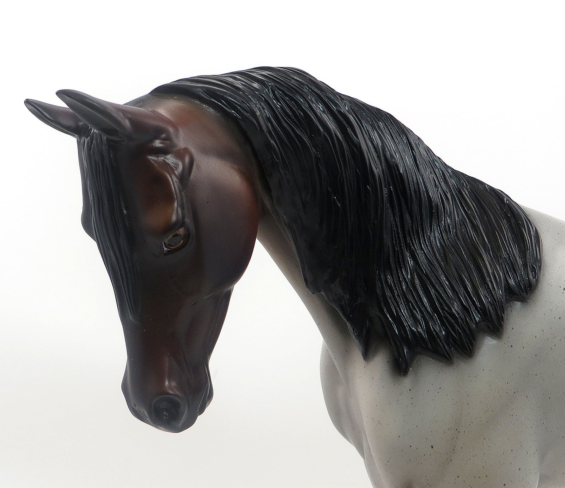 CEDAR SMOKE - LE4  Bay Roan Thoroughbred - 7/31