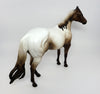 Appaloosa