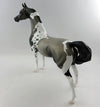 Blue Roan 