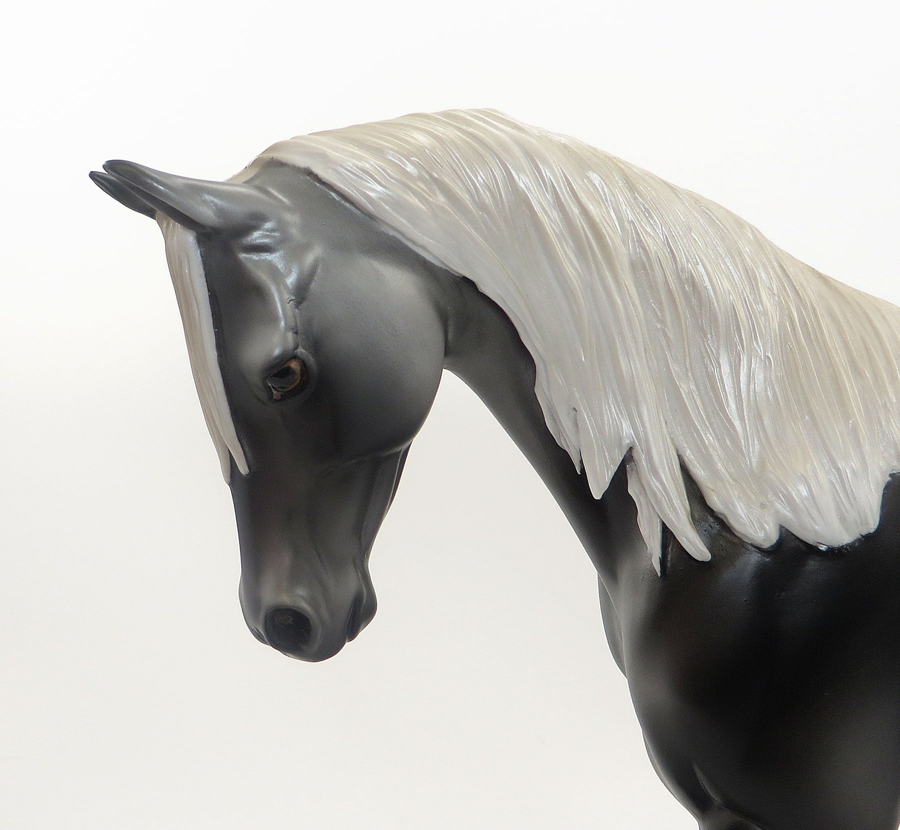 TOULOUSE - LE 3  Dark Grey Thoroughbred 8/7