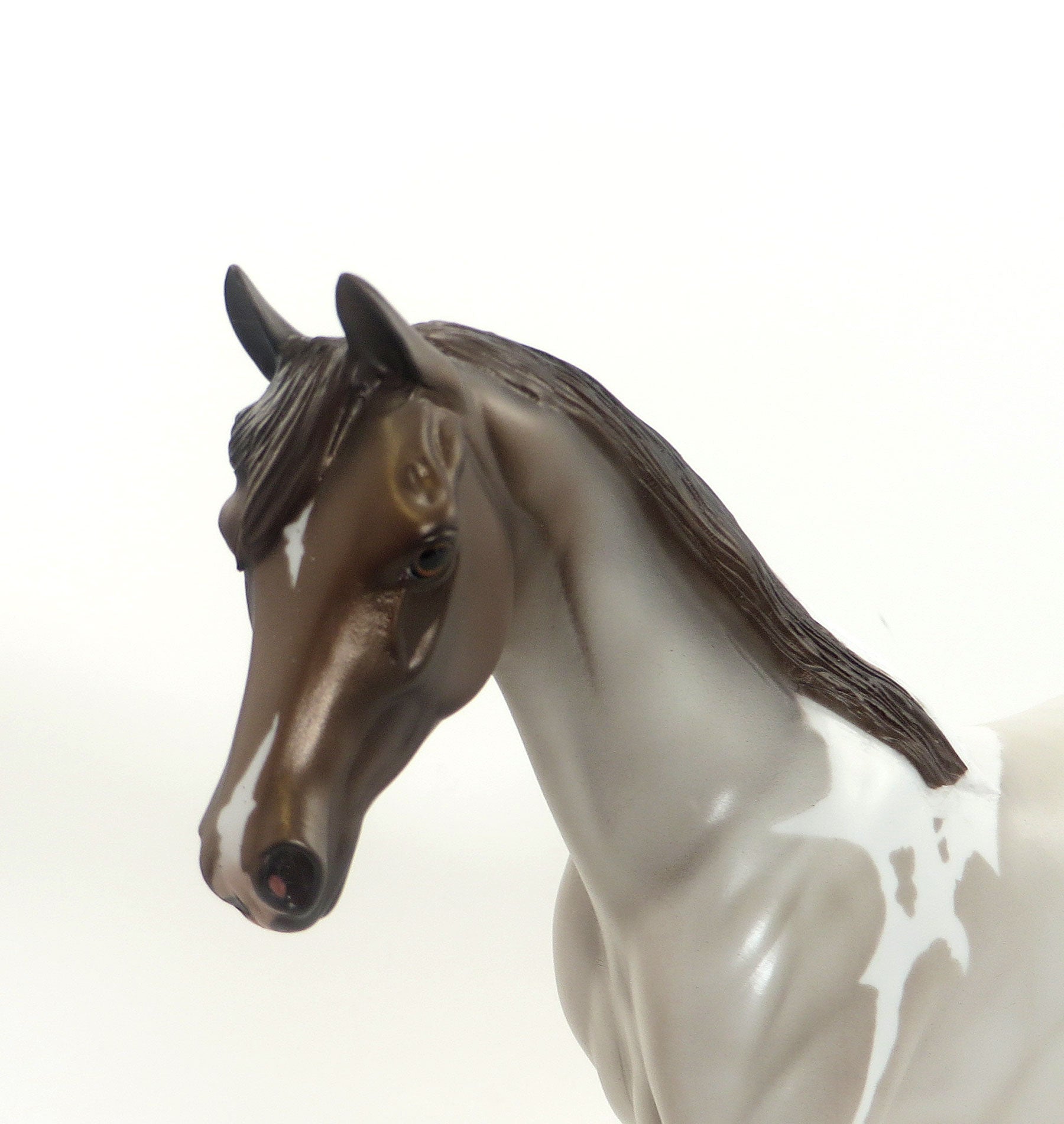 BANJO BABY - LE 6 Champagne Paint Pony Gelding 8/7