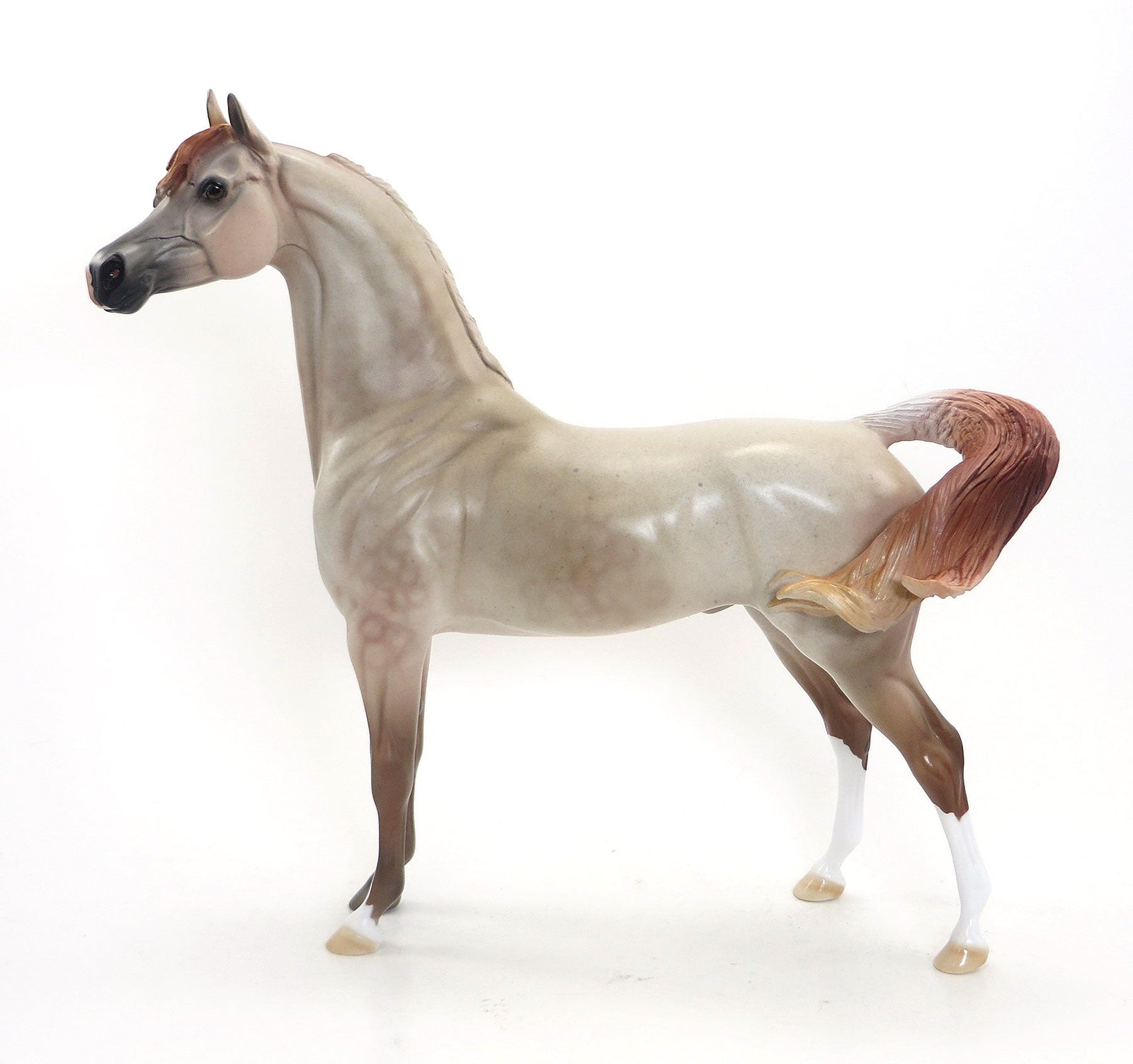 MORAFIC- OOAK Dappled Strawberry Roan Arabian 7/31