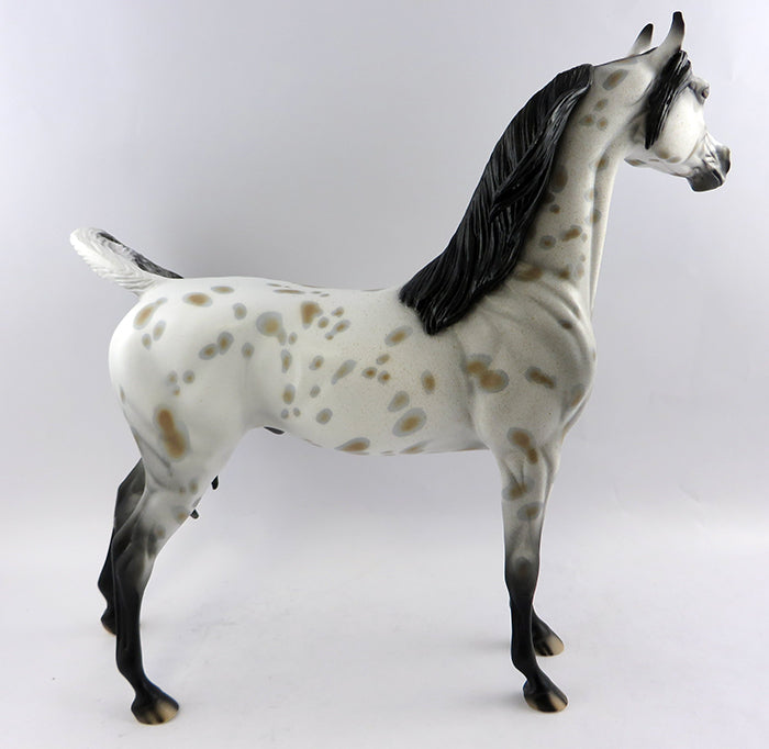 PERSEUS-OOAK APPALOOSA  ARABIAN MODEL HORSE 10/20