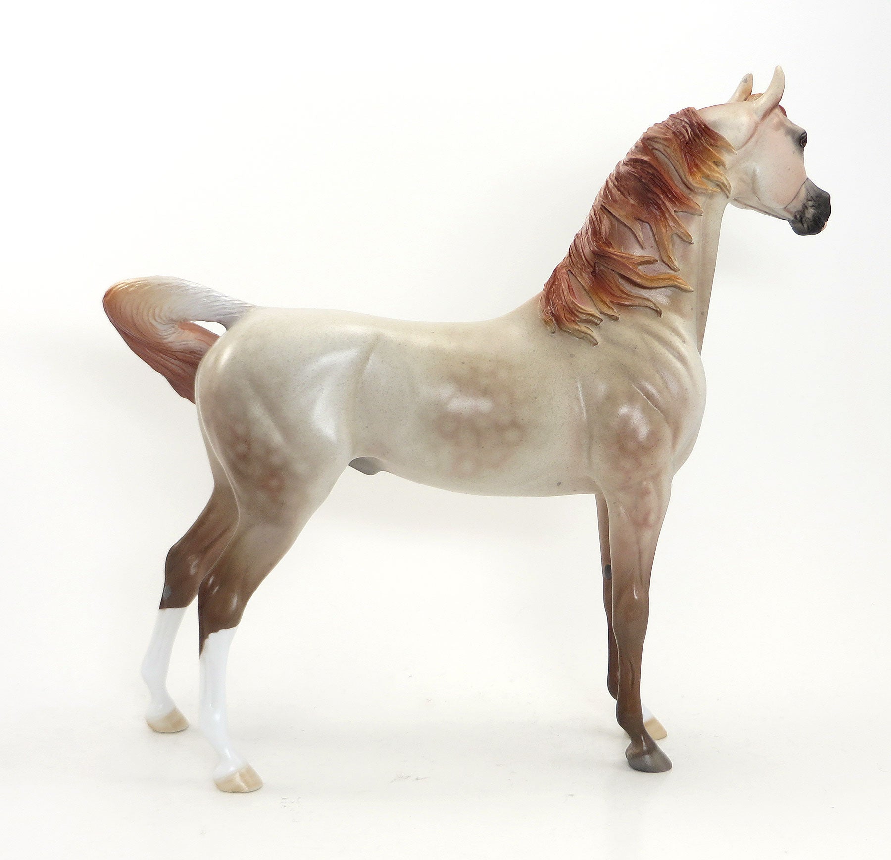 MORAFIC- OOAK Dappled Strawberry Roan Arabian 7/31