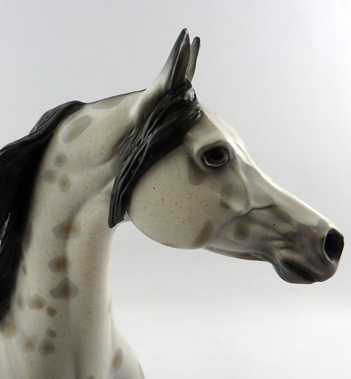 PERSEUS-OOAK APPALOOSA  ARABIAN MODEL HORSE 10/20