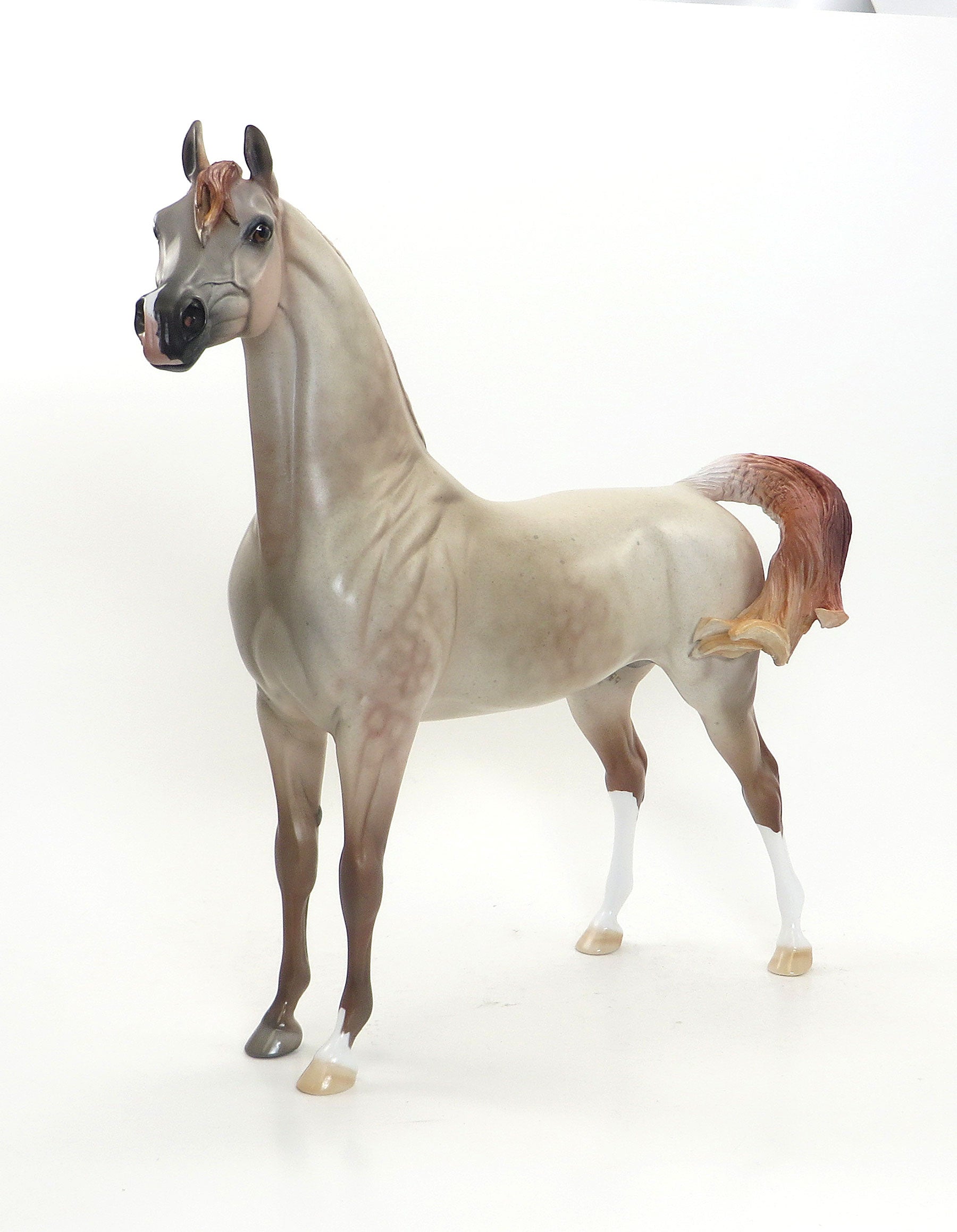 MORAFIC- OOAK Dappled Strawberry Roan Arabian 7/31