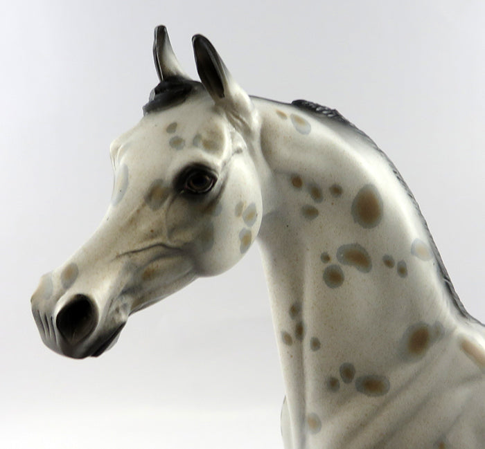 PERSEUS-OOAK APPALOOSA  ARABIAN MODEL HORSE 10/20