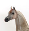 MORAFIC- OOAK Dappled Strawberry Roan Arabian 7/31