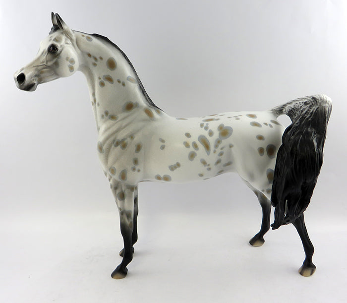 PERSEUS-OOAK APPALOOSA  ARABIAN MODEL HORSE 10/20