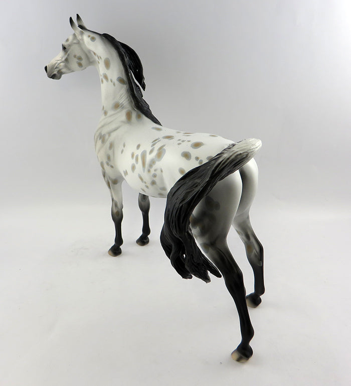 PERSEUS-OOAK APPALOOSA  ARABIAN MODEL HORSE 10/20