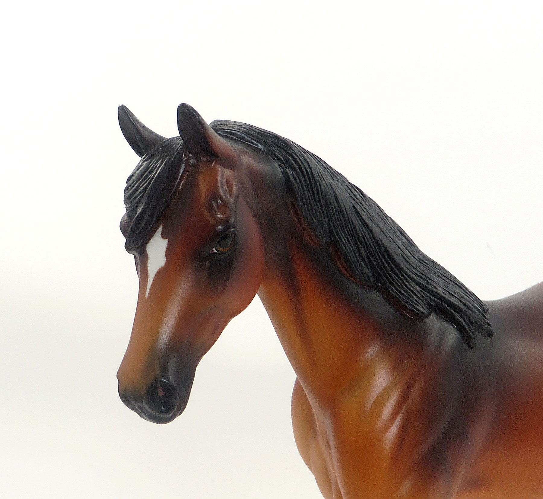 BELLO - LE 4 Cherry Red Bay Pony Gelding 8/7