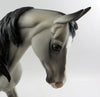 Thoroughbred