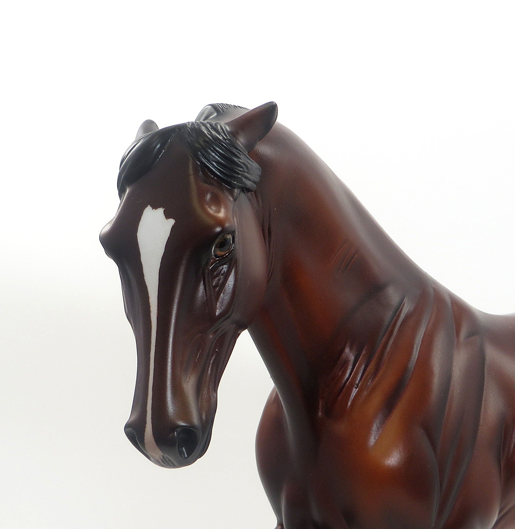 WAUKEEN - LE 3 Bay Tennessee Walker 8/7