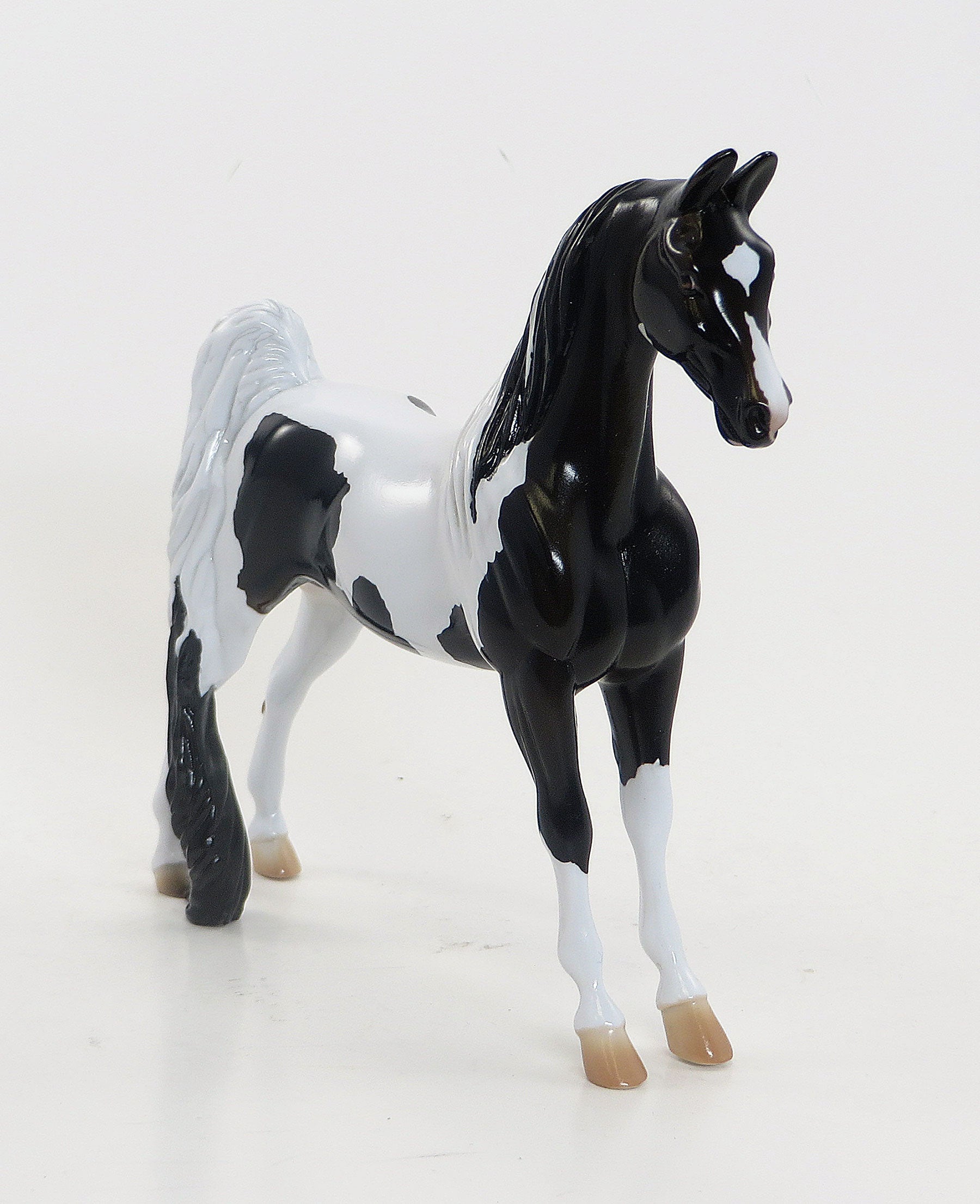 Little Horse Show Special Edition