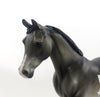 CHECK ME OUT - Dapple Gray Pinto Palouse Model Horse - LE4 - 7/15