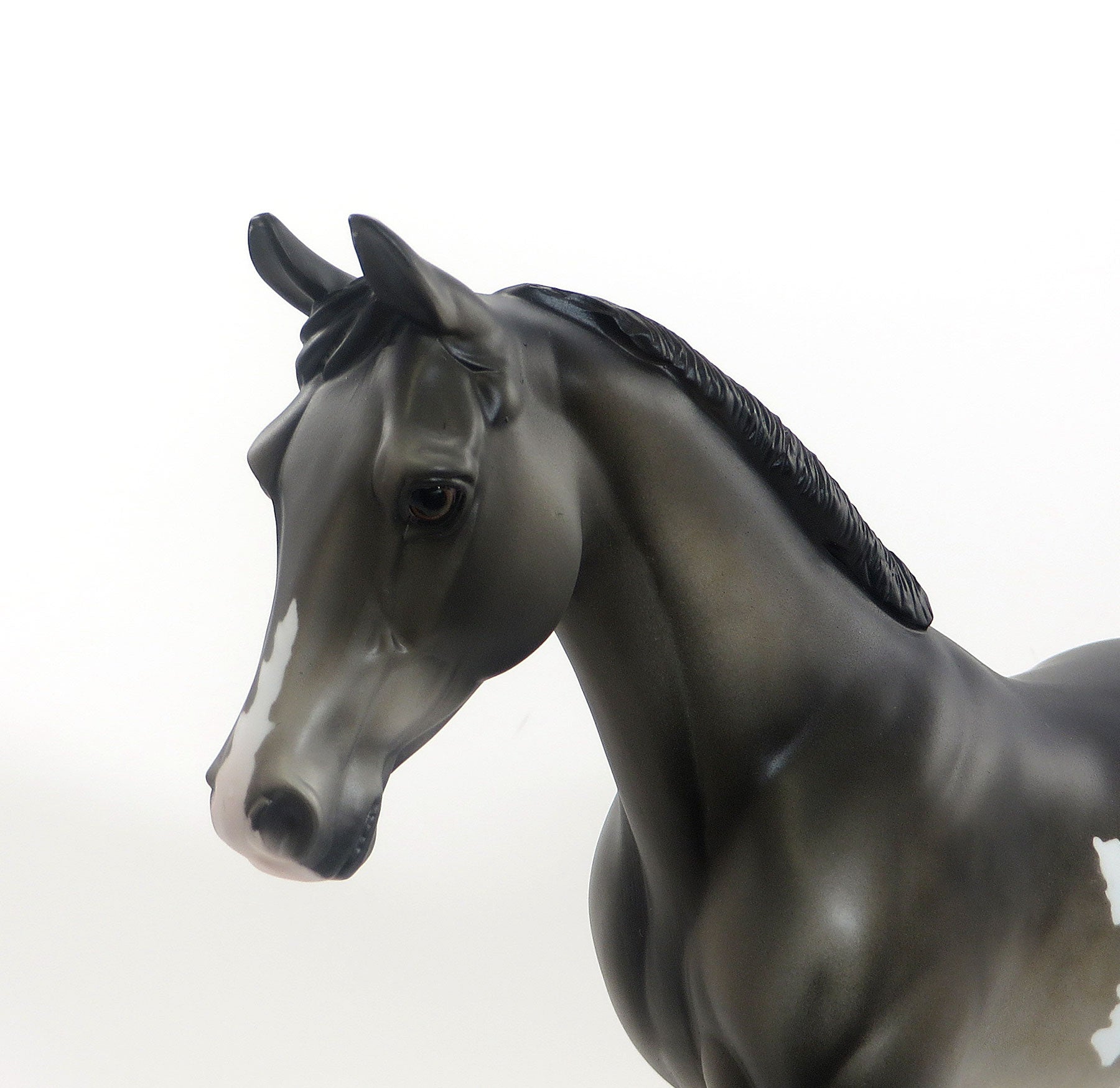 CHECK ME OUT - Dapple Gray Pinto Palouse Model Horse - LE4 - 7/15