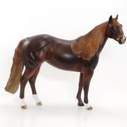 ALL YOU NEED IS LOVE - Dapple Dark Chestnut Stock Horse LE 4 2/15