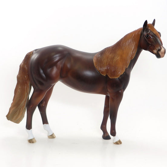 ALL YOU NEED IS LOVE - Dapple Dark Chestnut Stock Horse LE 4 2/15