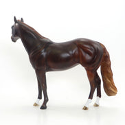 ALL YOU NEED IS LOVE - Dapple Dark Chestnut Stock Horse LE 4 2/15