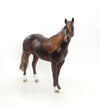 ALL YOU NEED IS LOVE - Dapple Dark Chestnut Stock Horse LE 4 2/15