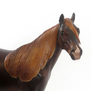 ALL YOU NEED IS LOVE - Dapple Dark Chestnut Stock Horse LE 4 2/15