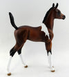 Foal