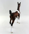 Tobiano