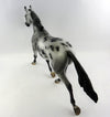Appaloosa