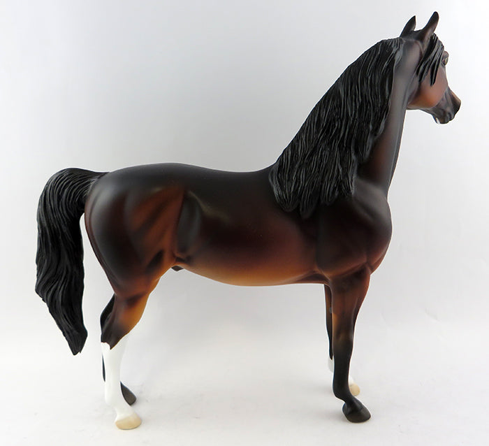 Morgan Horse