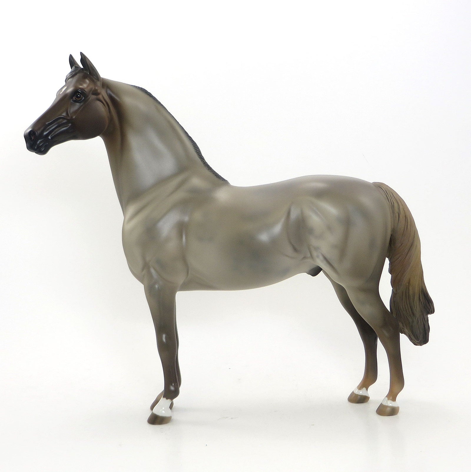 SOLDIER - OOAK Grulla Morgan Model Horse with Layers of Color - 6/15