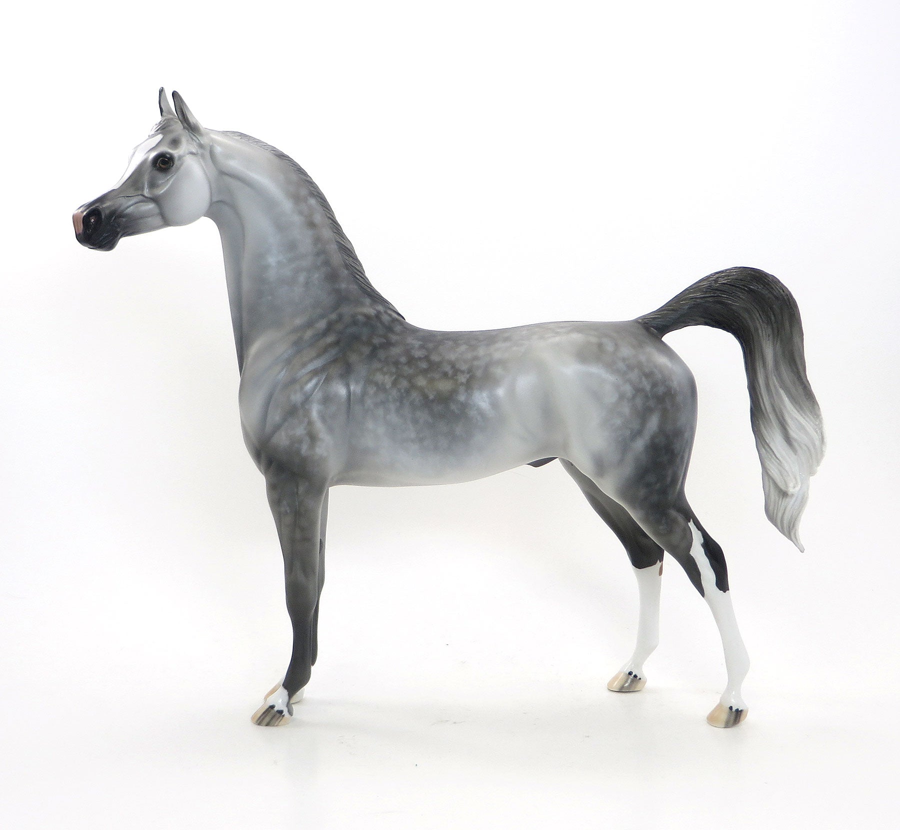 GREY CAT - OOAK Grey Star Dapple Arabian 7/24