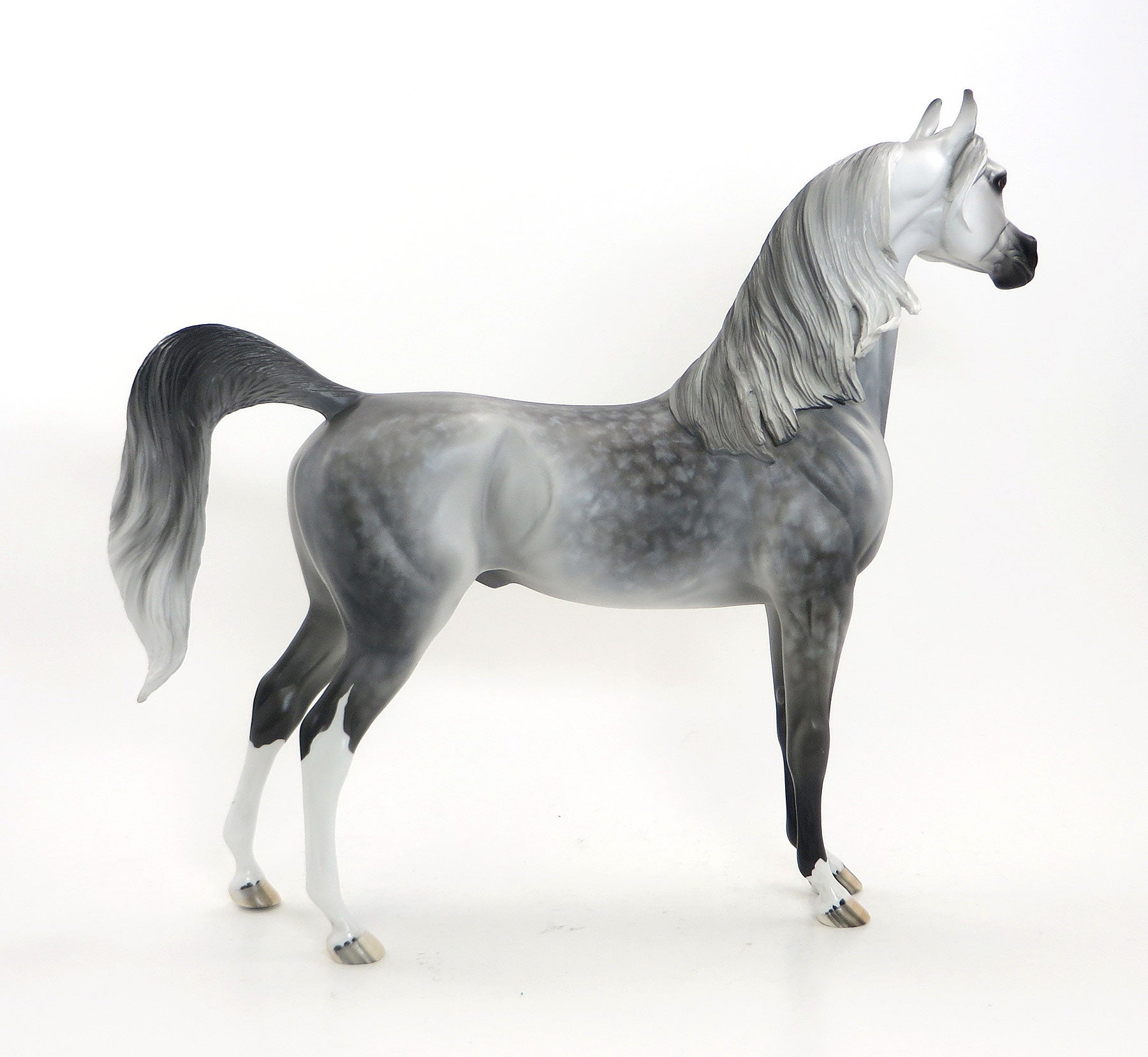 GREY CAT - OOAK Grey Star Dapple Arabian 7/24