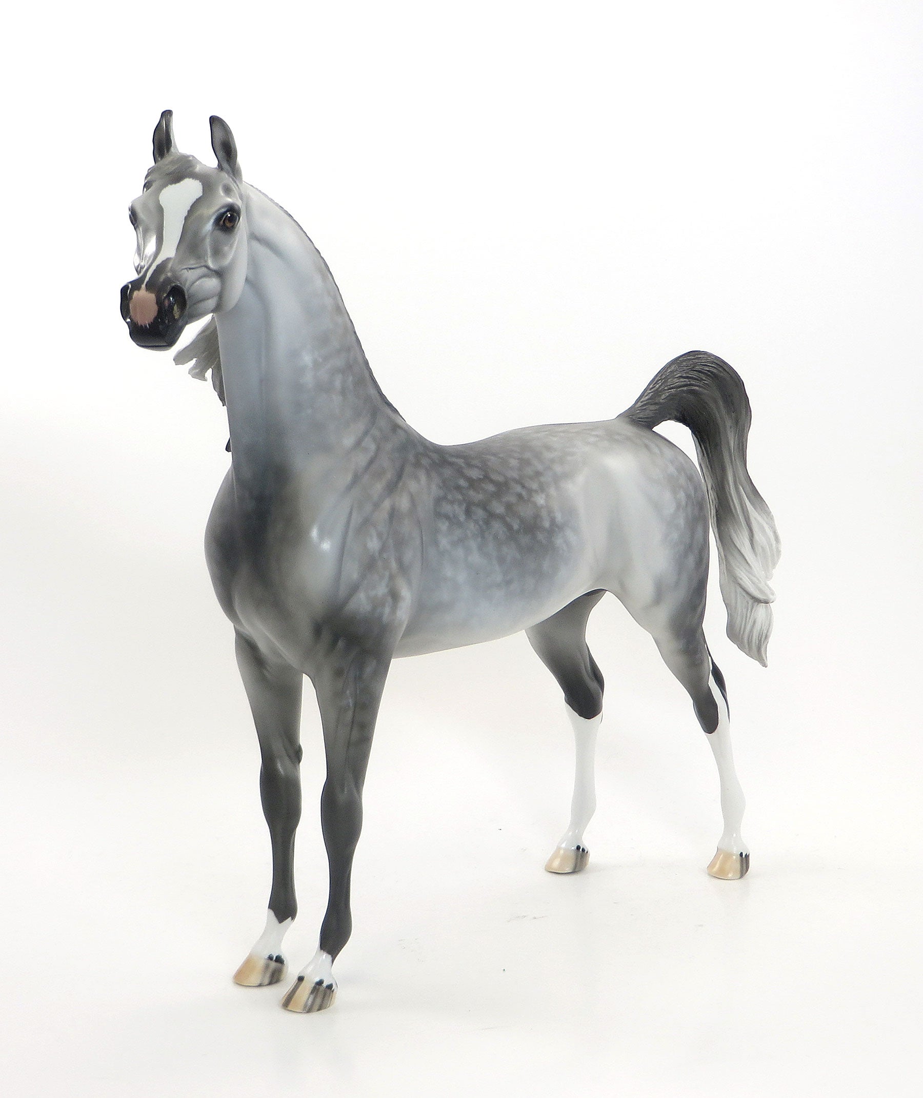 GREY CAT - OOAK Grey Star Dapple Arabian 7/24