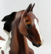 saddlebred