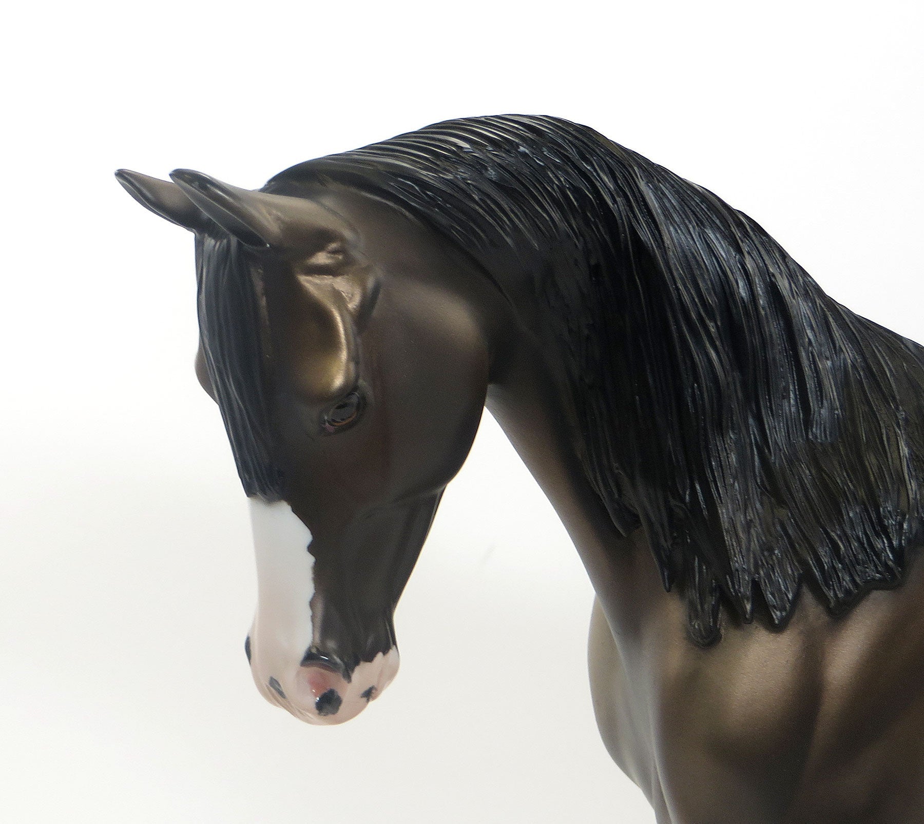 BILLY THE KID - EQ 2015 LE14 Dappled Bay Thoroughbred - 7/23