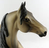 Buckskin