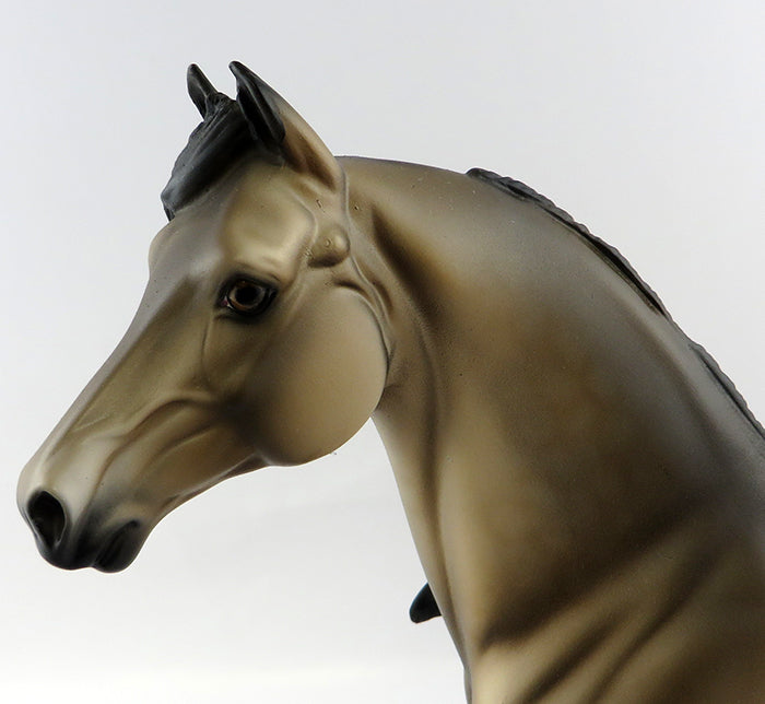 LEXINGTON-00AK DAPPLED BUCKSKIN MODEL HORSE BY DAWN QUICK 10/27/16