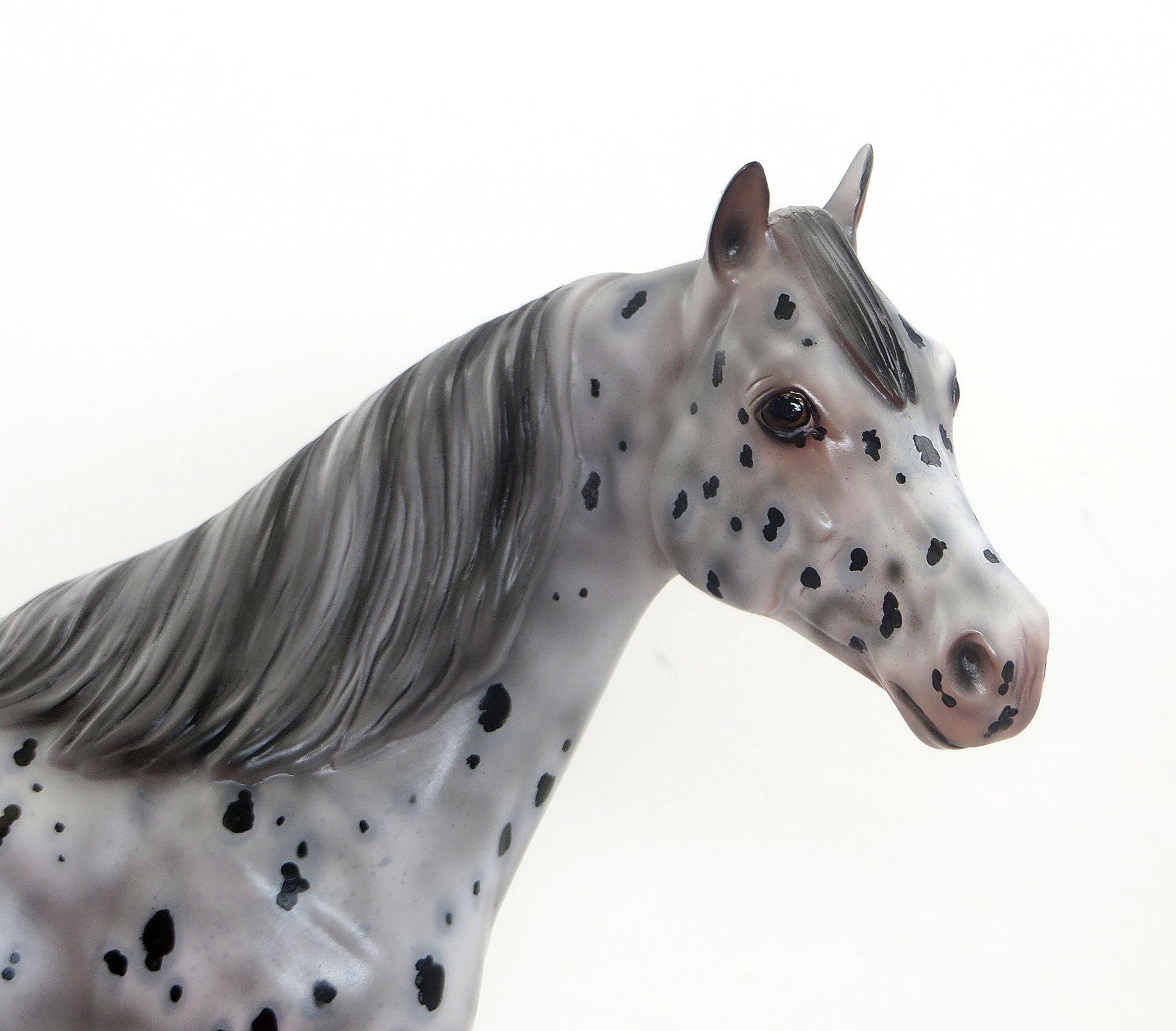 DIAMOND DAZE- OOAK Leopard Appaloosa Stock Horse &amp; RING POP - OOAK Leopard Appaloosa Weanling (Sold Together)