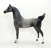 TWIST N&#39; TORQUE - OOAK Grey Roan Arabian 8/7