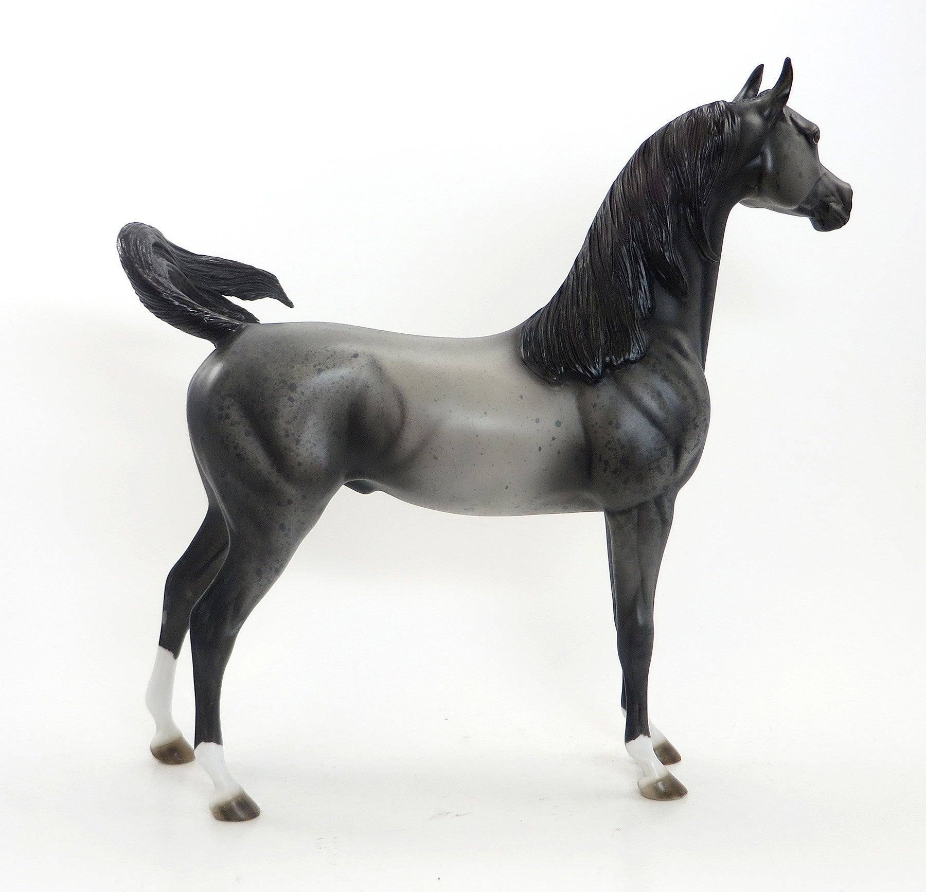 TWIST N&#39; TORQUE - OOAK Grey Roan Arabian 8/7