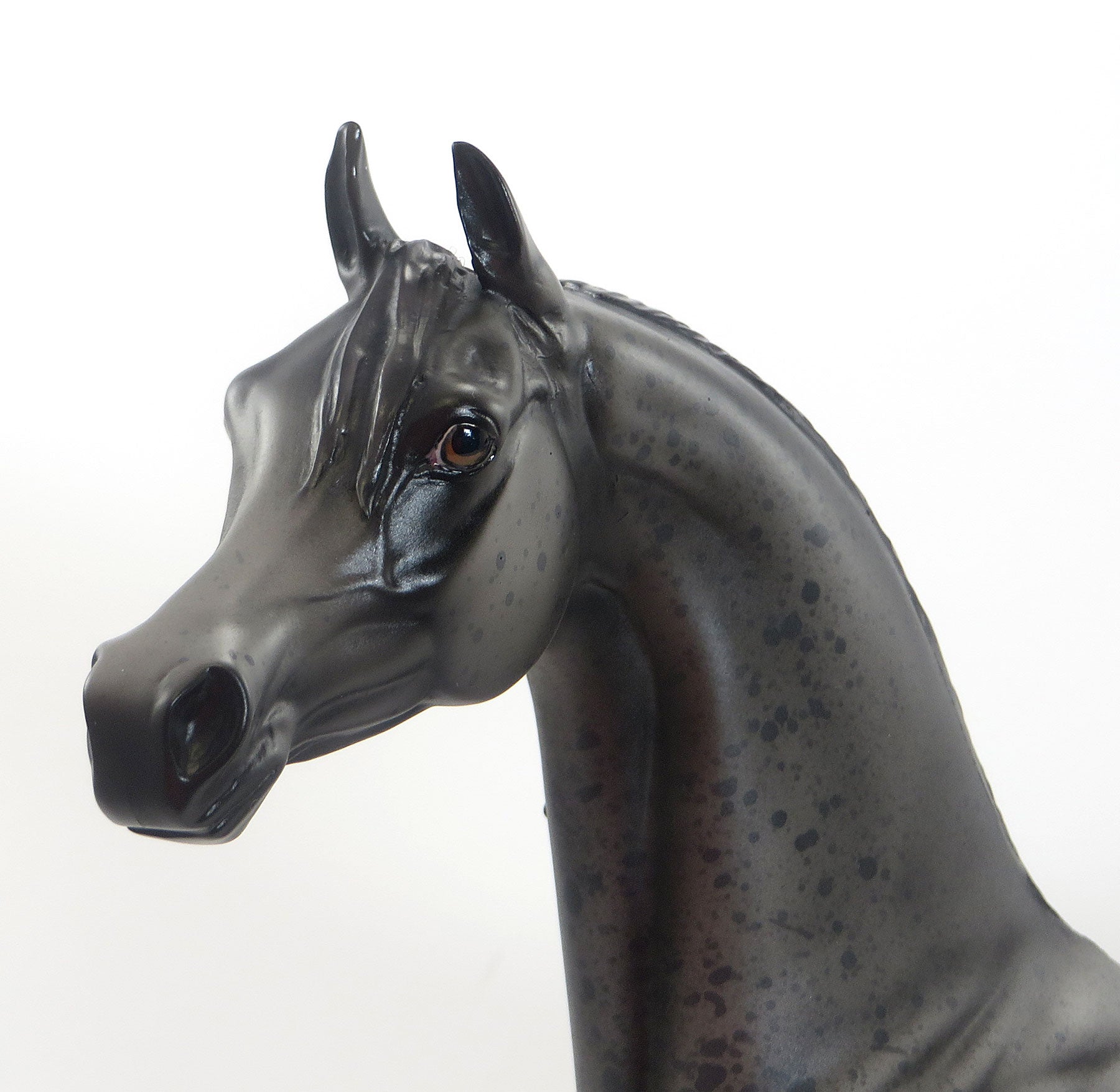 TWIST N&#39; TORQUE - OOAK Grey Roan Arabian 8/7