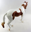 tobiano
