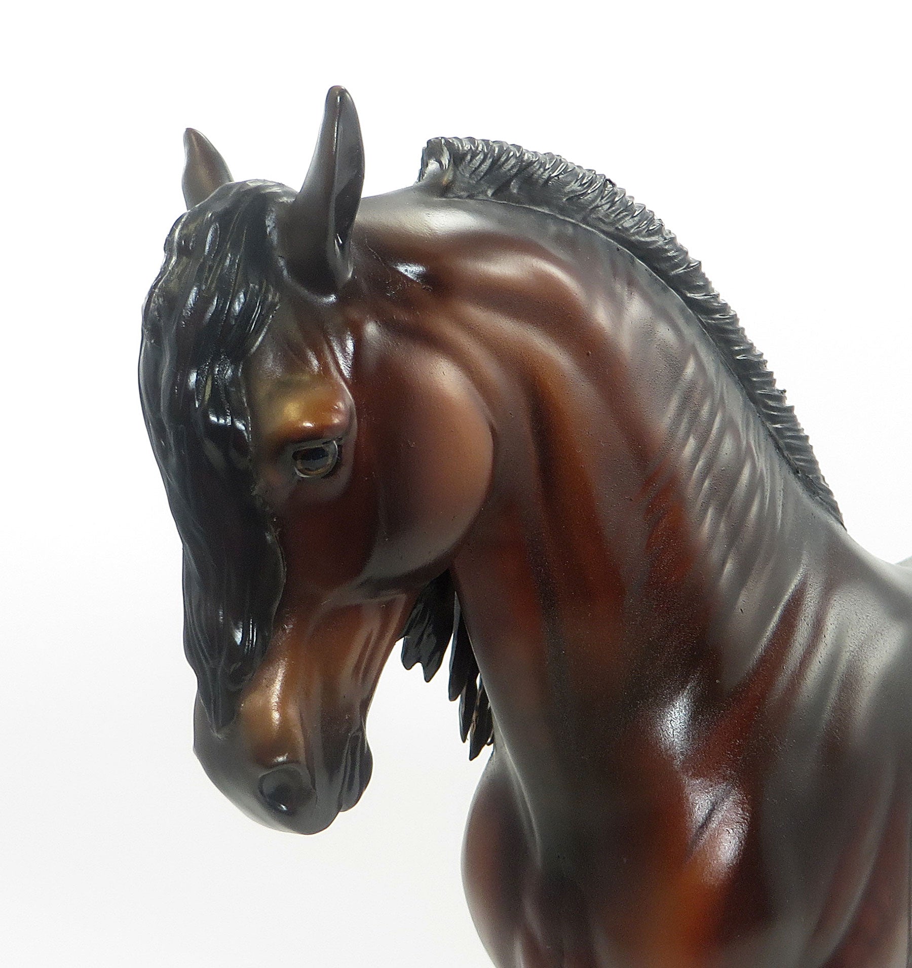 RADICAL RUMOR - OOAK Dapple Bay Iberian 8/7