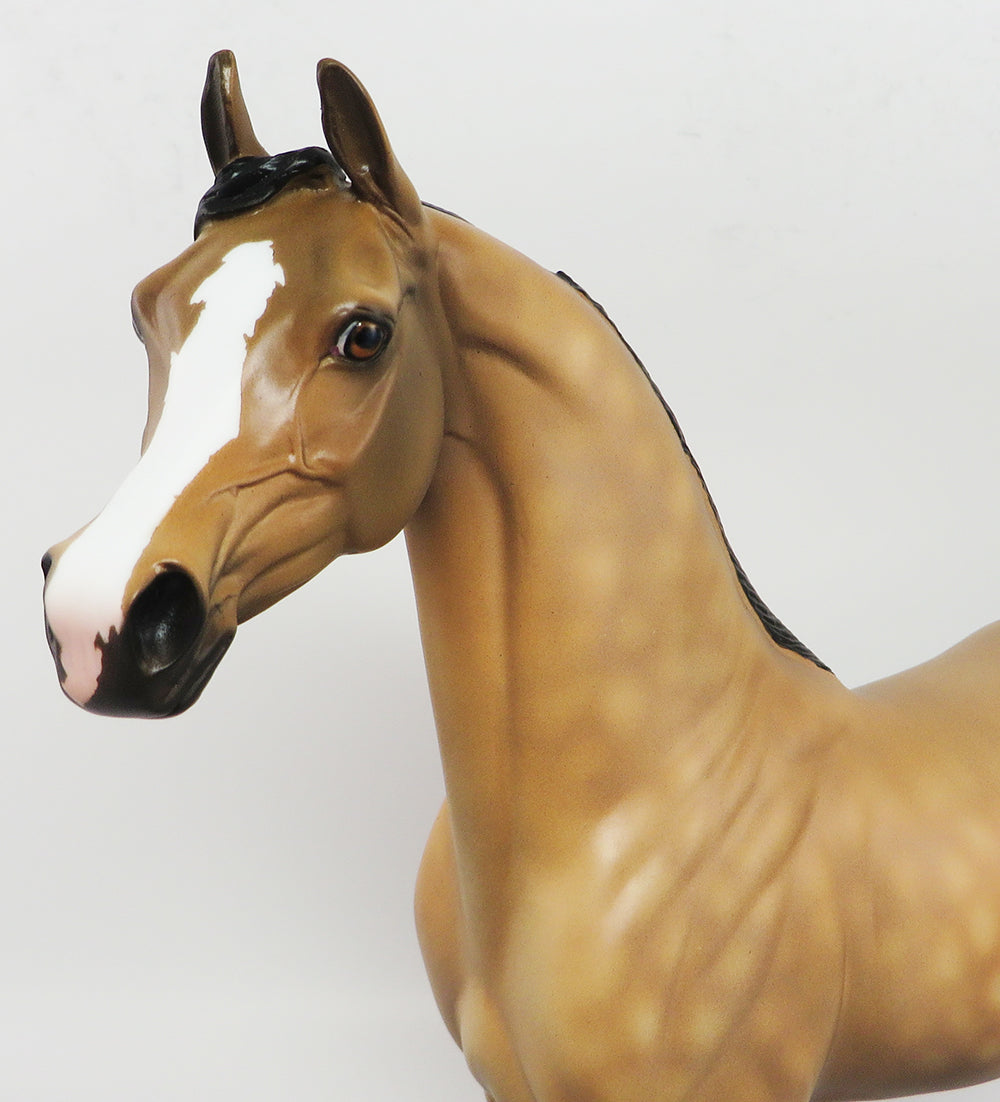 HELO~OOAK DAPPLE BUCKSKIN ARABIAN MODEL HORSE 3/31/17