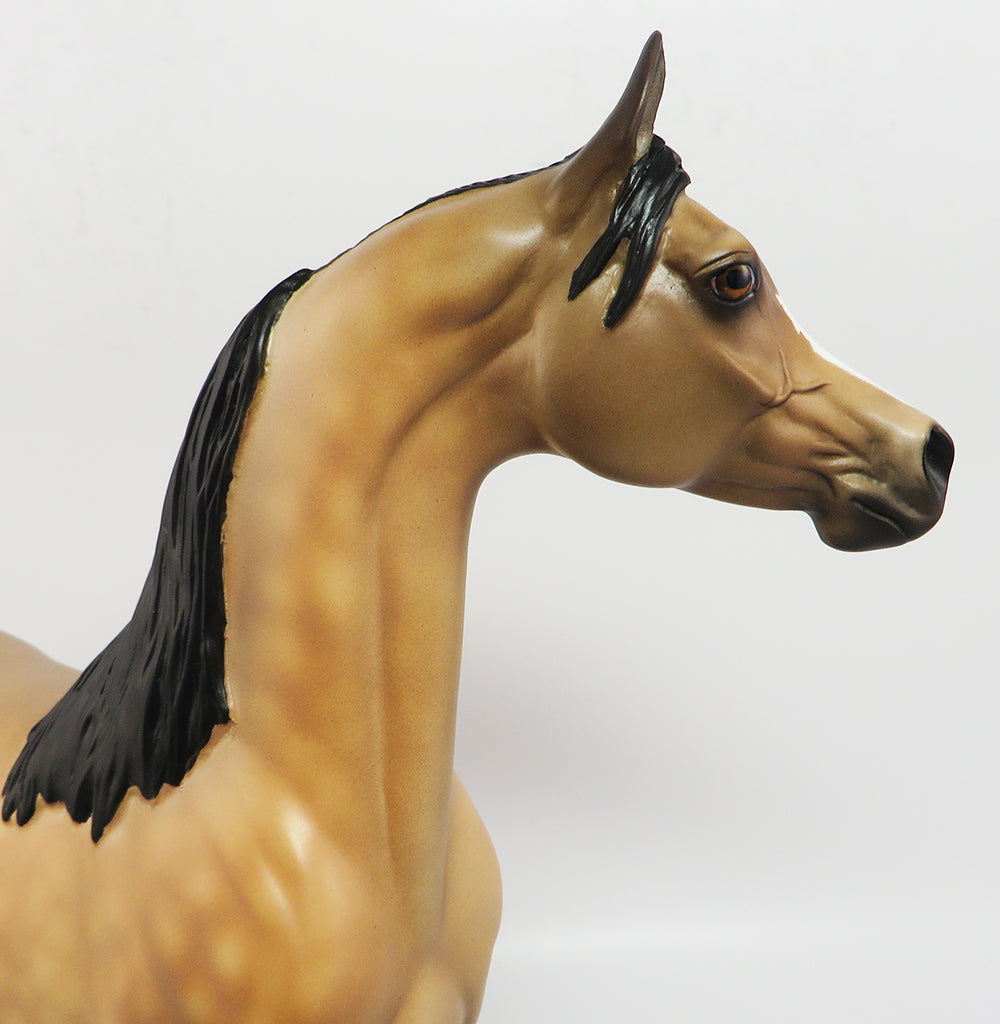 HELO~OOAK DAPPLE BUCKSKIN ARABIAN MODEL HORSE 3/31/17