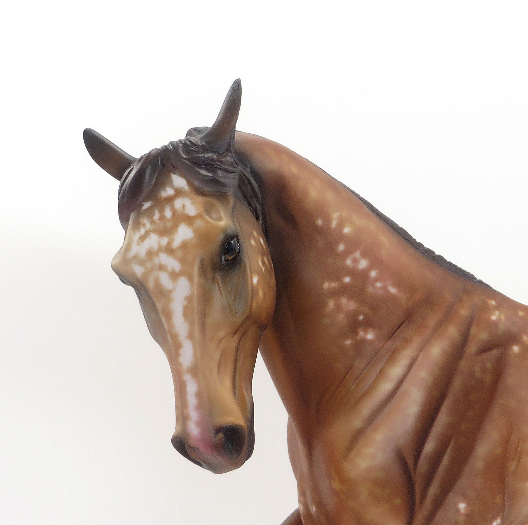 DAKOTAS DESIRE - OOAK Chestnut Appaloosa Tennessee Walker Mare Model Horse - 8/7